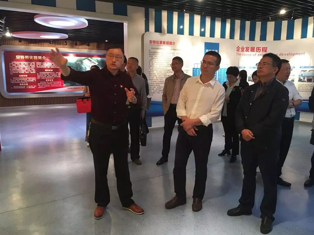 安特儀表集團有限公司