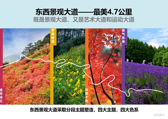 安特儀表集團有限公司