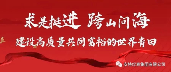 安特儀表集團有限公司