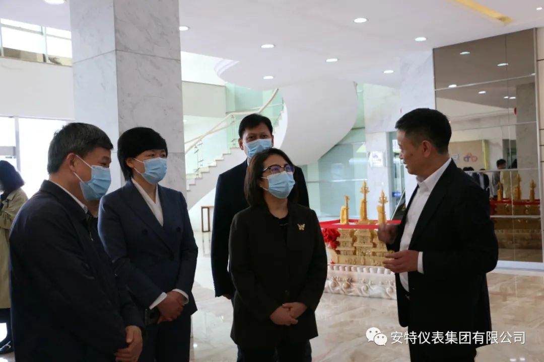 安特儀表集團(tuán)有限公司