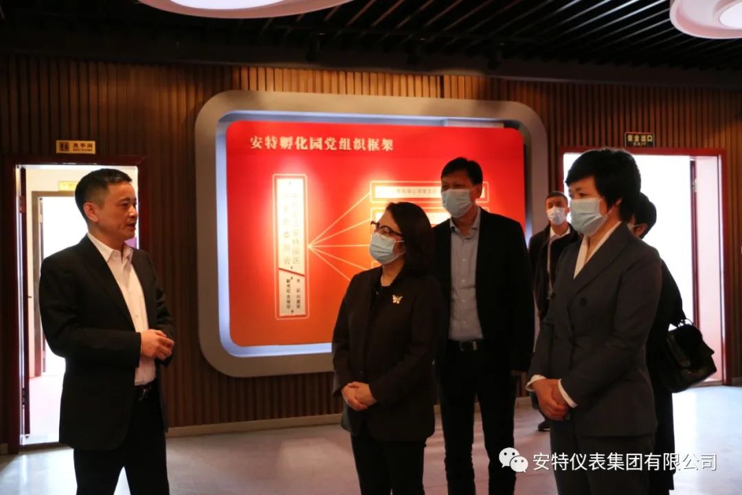 安特儀表集團(tuán)有限公司