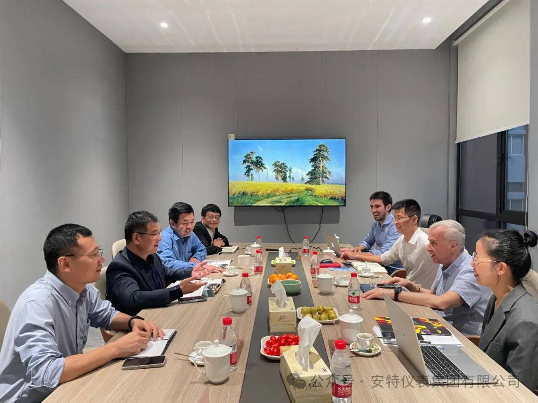 安特儀表集團有限公司