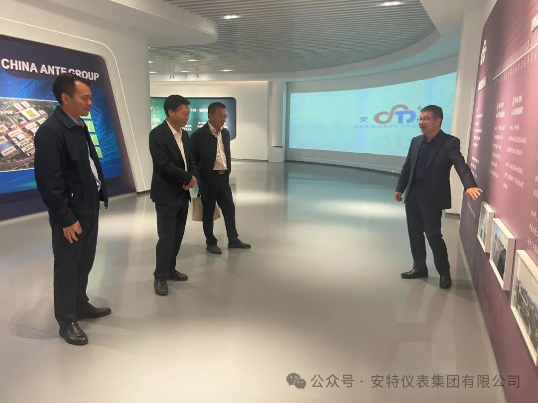安特儀表集團有限公司