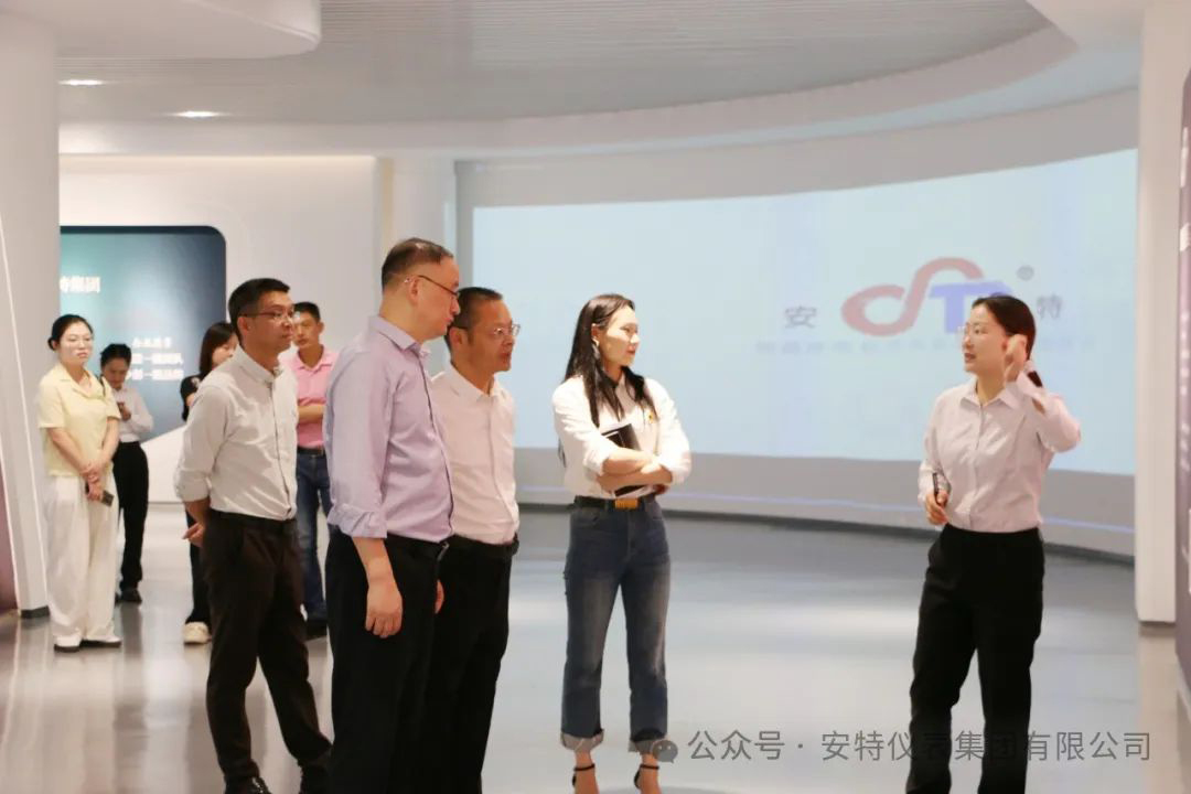 安特儀表集團(tuán)有限公司