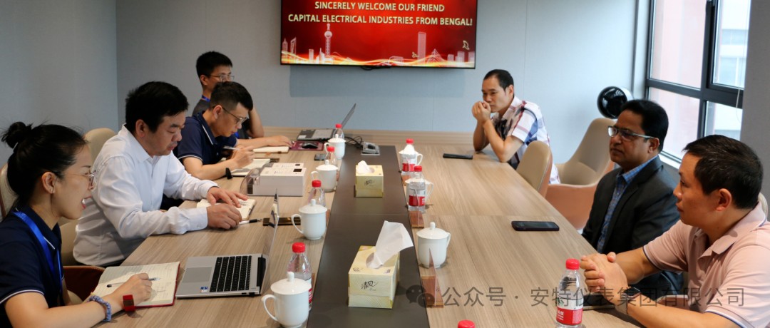 安特儀表集團(tuán)有限公司