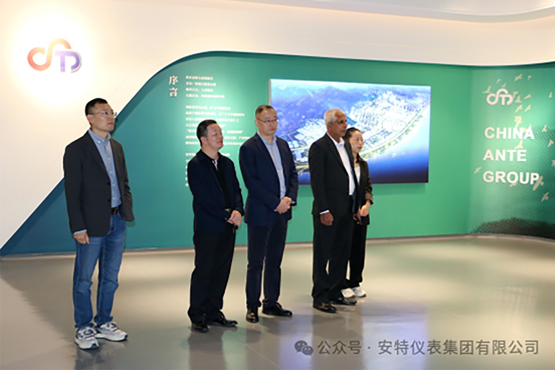 安特儀表集團(tuán)有限公司