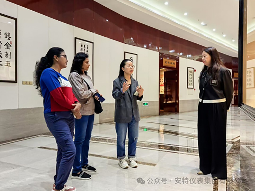 安特儀表集團(tuán)有限公司