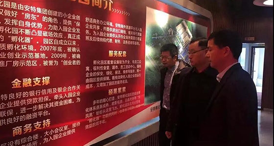 麗水市經(jīng)信局副局長李建軍一行對安特小微企業(yè)孵化園進(jìn)行調(diào)研
