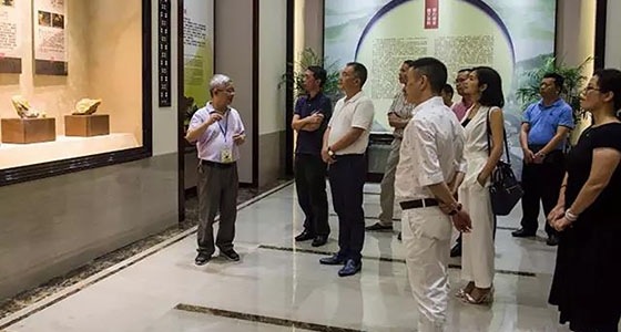 市、縣人大代表一行來館參觀調(diào)研