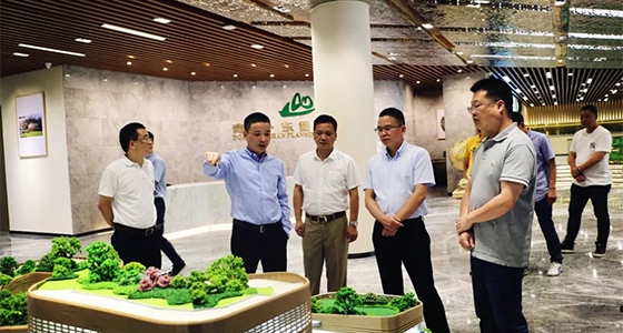 Tao Junyou, member of the Standing Committee of the Qingtian County Party Committee and Executive Deputy County Mayor, and his entourage visited the Dongbaoshan Overseas Chinese Cultural Museum Eco-ci