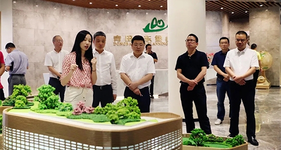 Qingtian County Party Secretary Zhou Heping inspected and investigated Dongbaoshan Planning Hall and unveiled the living room of the Overseas Chinese Club
