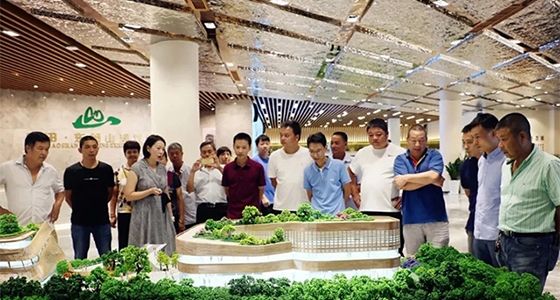 Ounan Street went to Dongbaoshan Overseas Chinese Cultural Museum Eco-city Planning Museum to visit and exchange