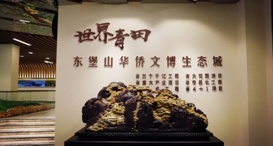 青田縣委常委、常務(wù)副縣長陶軍友一行蒞臨東堡山華僑文博生態(tài)城規(guī)劃館