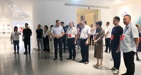 麗水市第五屆人大代表景寧中心組調(diào)研安特集團