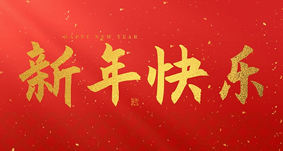 安特儀表集團(tuán)有限公司祝大家2025新年快樂(lè)！