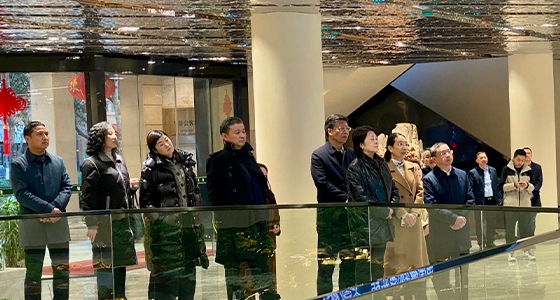 省人大副主任吳晶攜省人大調(diào)研組為東堡山博物館群項目賦能，共繪“世界青田”美好藍(lán)圖